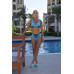 Black Bird Blue Color Two Pieces
